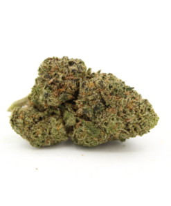Animal Cookies | Aaa