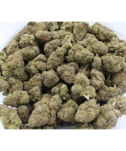Animal Cookies | Aaa