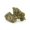 Critical Mass | Aaaa