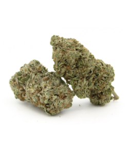 Critical Mass | AAAA