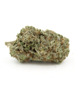 Critical Mass | Aaaa