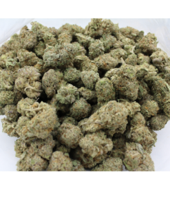 Critical Mass | Aaaa