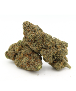 Black Ghost Og | Aaaa