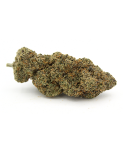 Black Ghost Og | Aaaa