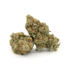 Sour Amnesia | Aaaa