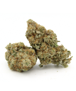 Sour Amnesia | AAAA