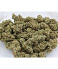 Sour Amnesia | Aaaa