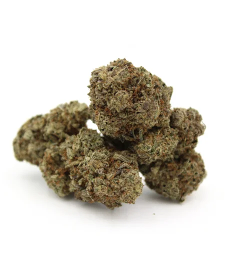 Thin Mint Girl Scout Cookies | AAAA