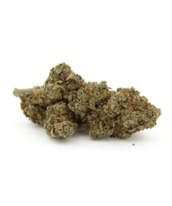 Thin Mint Girl Scout Cookies | Aaaa