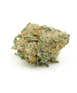 Wild Berry Kush | Smalls