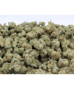 Wild Berry Kush | Smalls