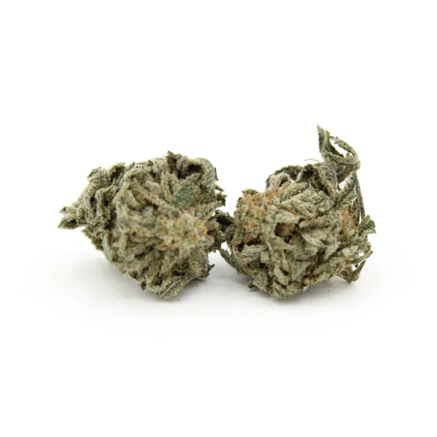 Purple Kush | AA