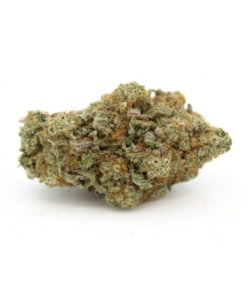 Sour Amnesia | Aaaa