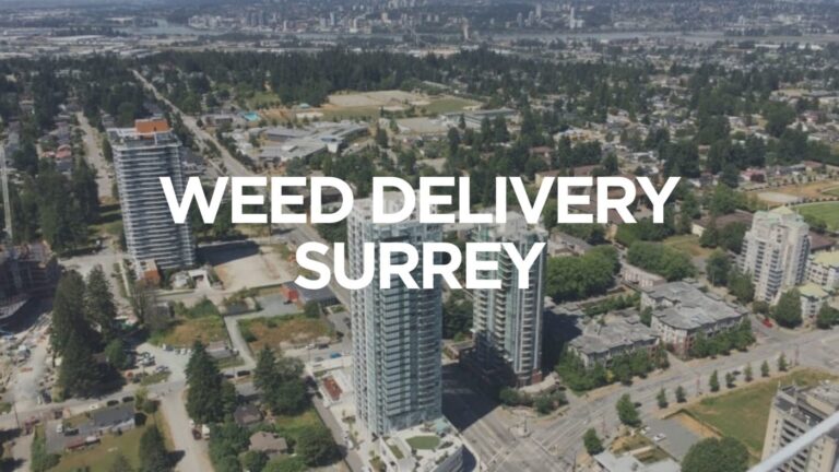 Same Day Weed Delivery Surrey Bc