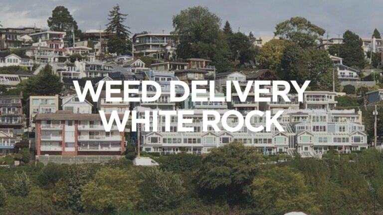 Same Day Weed Delivery White Rock Bc | Fast Cannabis Delivery Service