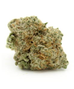 Bruce Banner | Smalls
