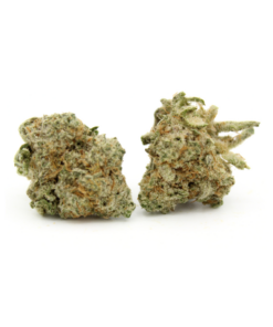 Bruce Banner | Smalls
