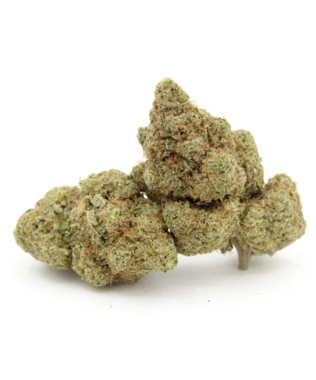 Gorilla Glue #4