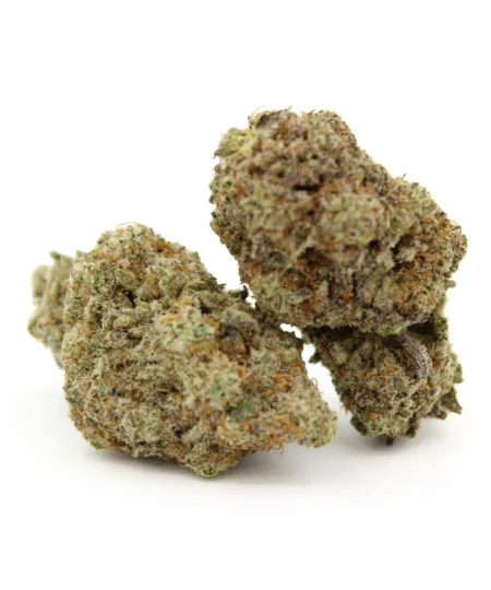 Jamaican Lambs Bread | AAAA