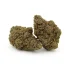 Afghan Ghost OG | AAA