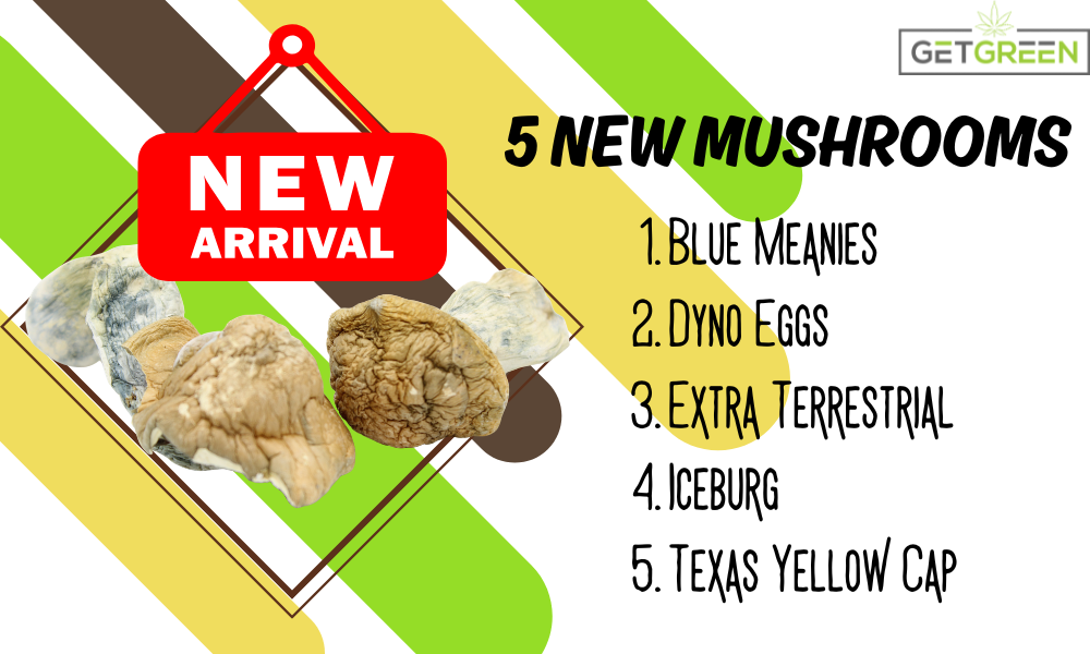New Magic Mushrooms