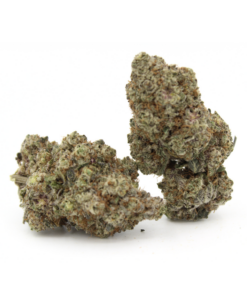 Alien Gelato | Aaaa