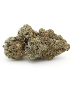Alien Gelato | Aaaa