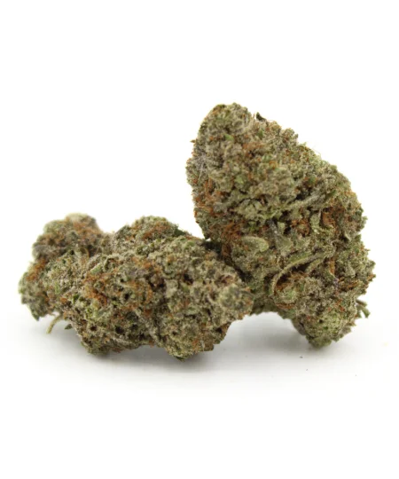 BlueFin Tuna Kush