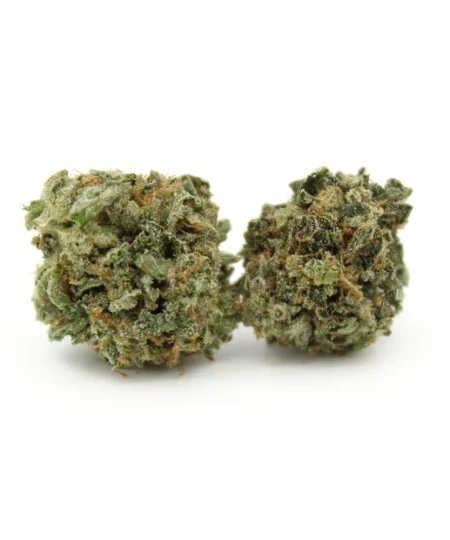 Bubba Glue