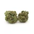 Bubba Glue | Smalls