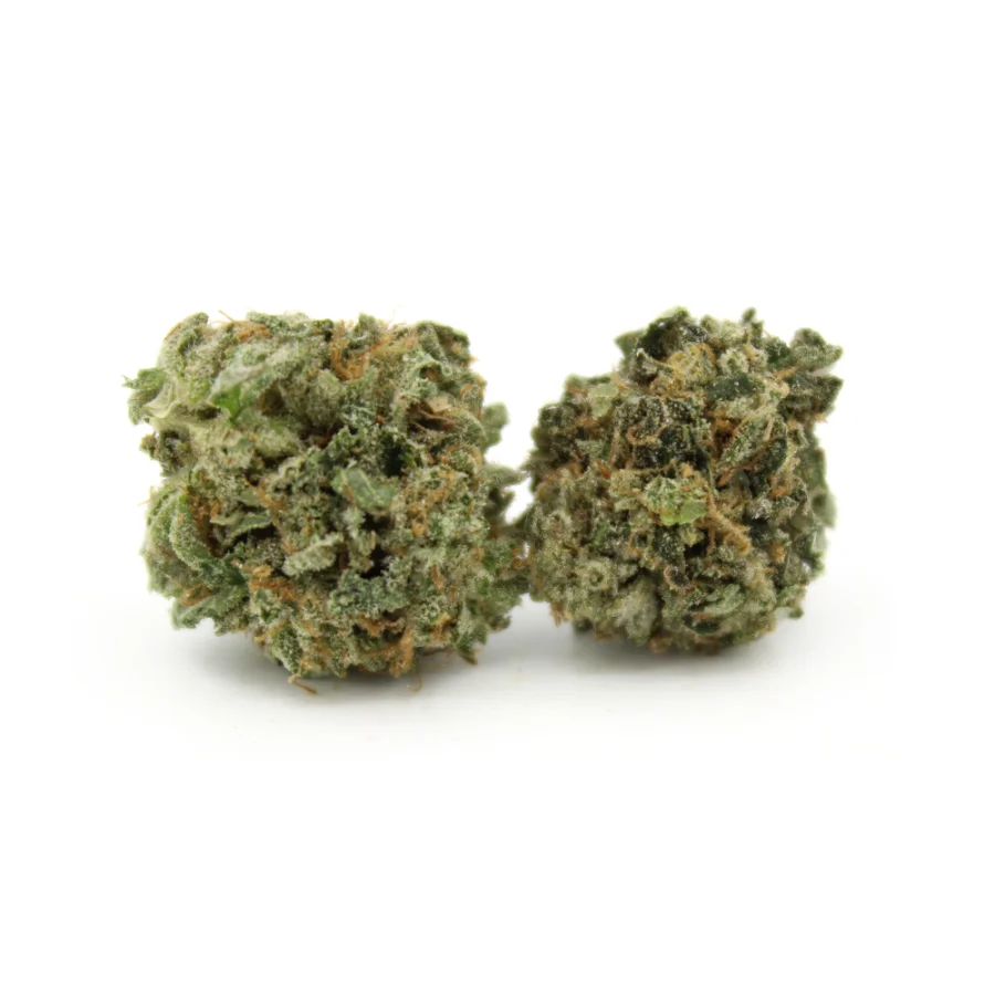 Bubba Glue | Smalls