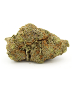 Citrus Cyclone | AAAA