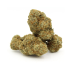 Dutch Dragon | AAAA