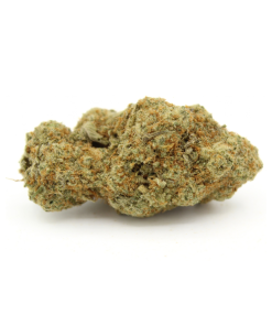 Dutch Dragon | Aaaa