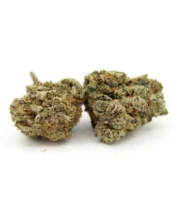 Hindu Kush | Smalls