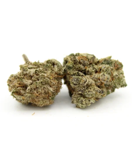 Hindu Kush