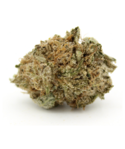 Hindu Kush | Smalls