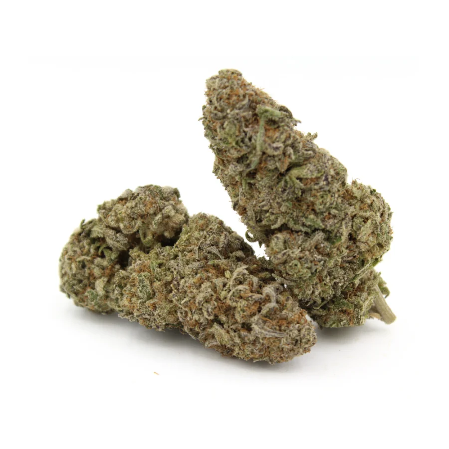 Iced Widow | AAAA
