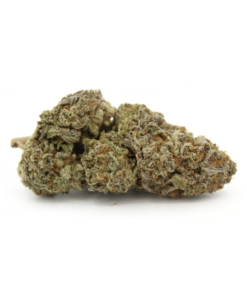 Iced Widow | AAAA
