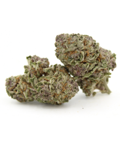 Irish Cream | Aaa
