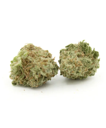 Kentucky Durban