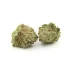 Kentucky Durban | Smalls
