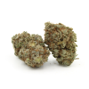 Kush Berry | AAA