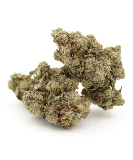 Motor Breath #15