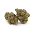 Northern Lights | AAAA