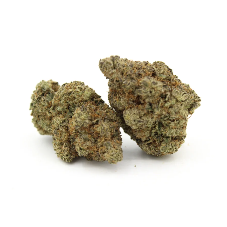 Northern Lights | AAAA