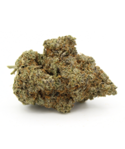 Northern Lights | AAAA