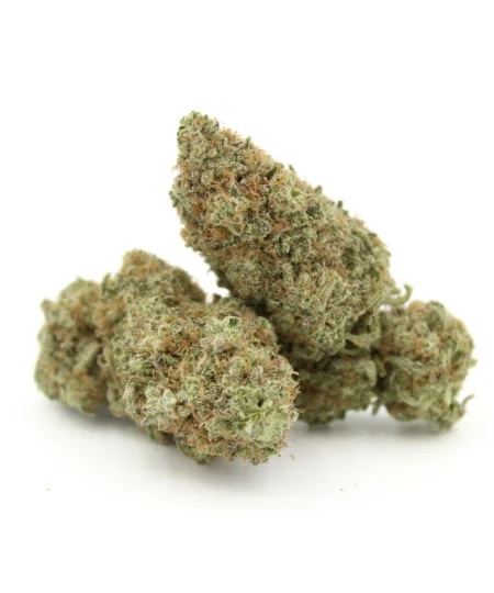 Poison Peaches
