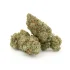 Poison Peaches | AAAA