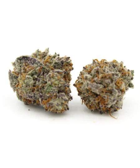 Tahoe Cream